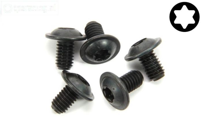 FG6917/16 Torx flens bolkop M6-L10 mm, 5 St.