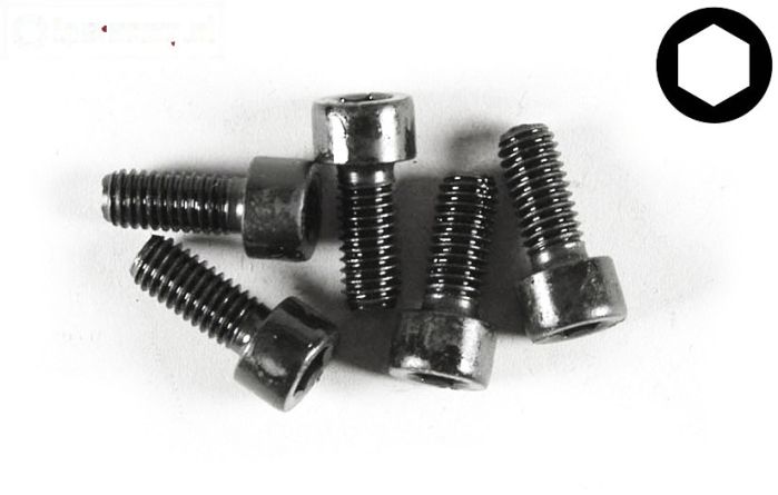 FG6727/14 Inbus normale kop M6-L14 mm, 5 St.