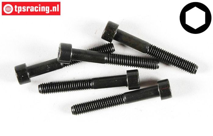 FG6727/45 Inbus normale kop M6-L45 mm, 5 St.