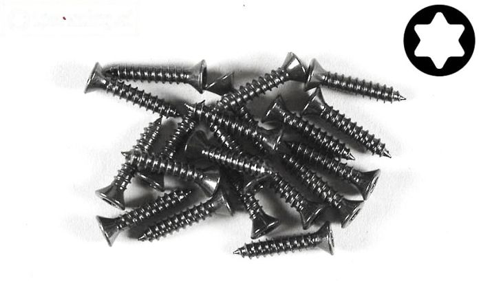 FG6910/16 Torx parker verz. kop Ø2,9-L16 mm, 20 St.