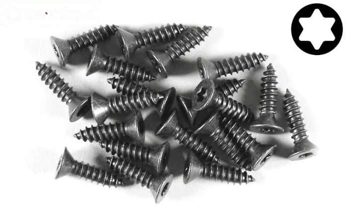 FG6912/16 Torx parker verz. kop Ø4,2-L16 mm, 20 St.