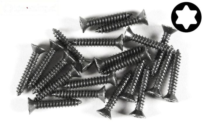 FG6912/25 Torx parker verz. kop Ø4,2-L25 mm, 20 St.