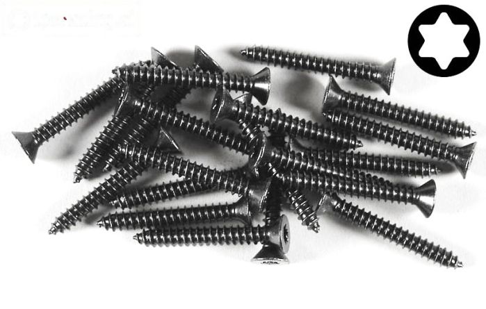 FG6912/32 Torx parker verz. kop Ø4,2-L32 mm, 20 St.