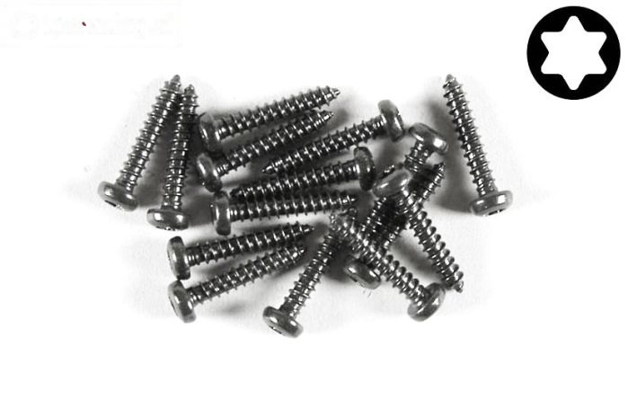 FG6914/13 Torx bolkop parker Ø2,9-L13 mm, 15 St.