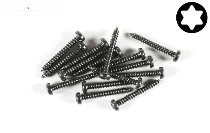 FG6914/19 Torx bolkop parker Ø2,9-L19 mm, 15 St.