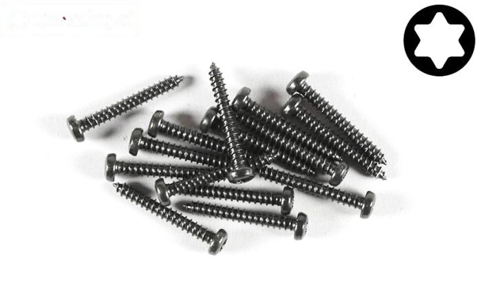 FG6914/22 Torx bolkop parker Ø2,9-L22 mm, 15 St.