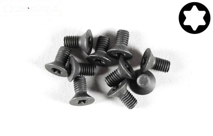 FG6918/06 Torx verzonken kop M3-L6 mm, 10 St.