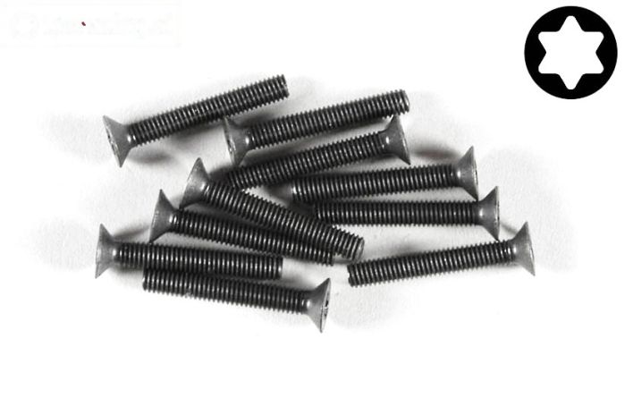 FG6918/20 Torx verzonken kop M3-L20 mm, 10 St.
