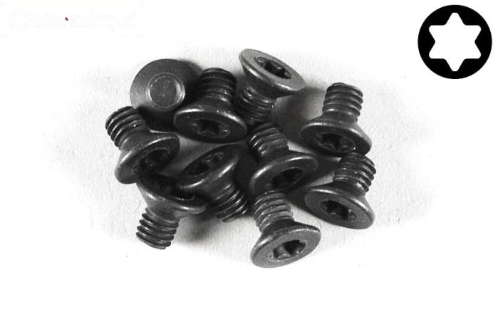 FG6920/06 Torx verzonken kop M4-L6 mm, 10 St.