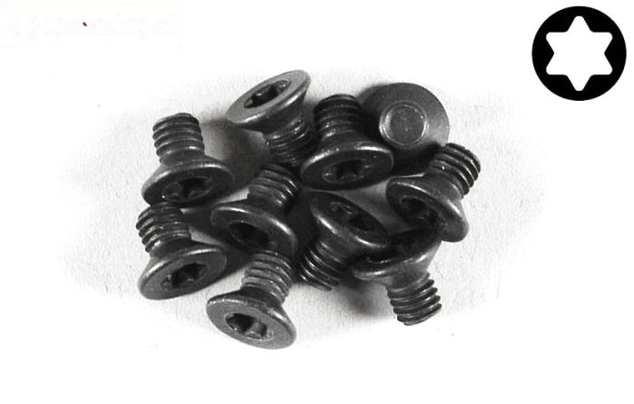 FG6920/08 Torx verzonken kop M4-L8 mm, 10 St.