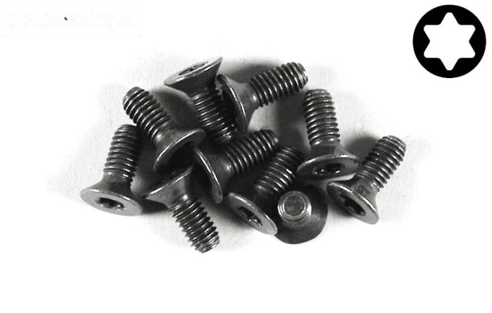 FG6920/10 Torx verzonken kop M4-L10 mm, 10 St.