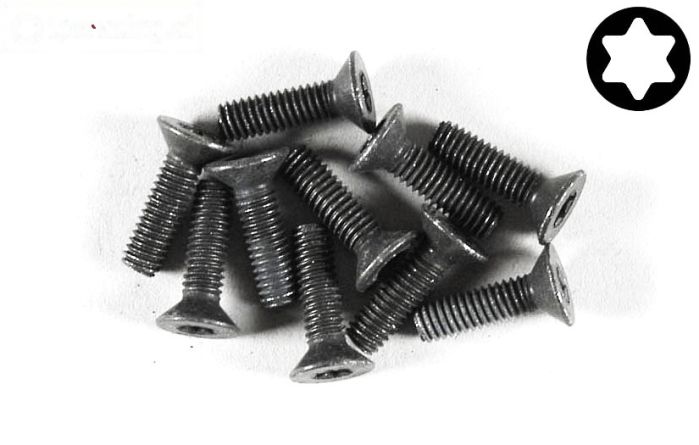 FG6920/12 Torx verzonken kop M4-L12 mm, 10 St.