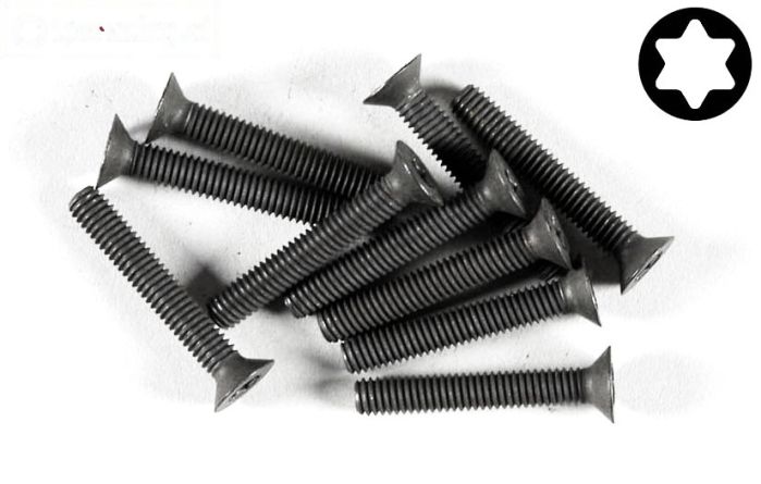 FG6920/25 Torx verzonken kop M4-L25 mm, 10 St.