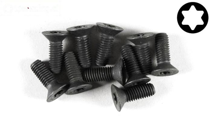 FG6922/14 Torx verzonken kop M5-L14 mm, 10 St.