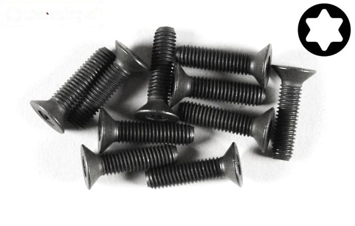FG6920/16 Torx verzonken kop M4-L16 mm, 10 St.