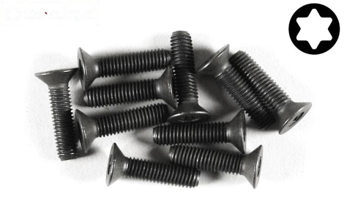 FG6922/20 Torx verzonken kop M5-L20 mm, 10 St.
