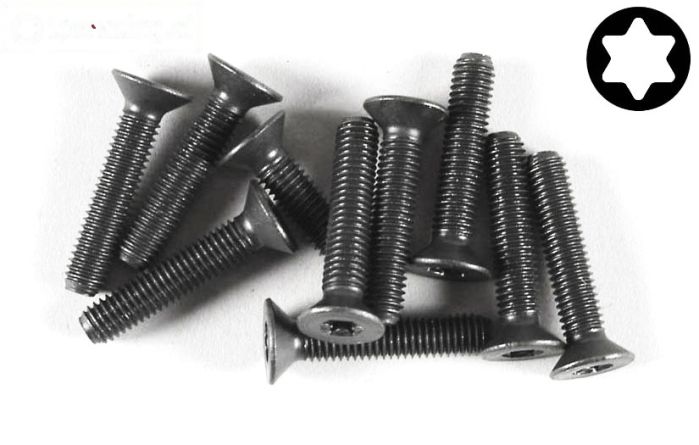 FG6922/25 Torx verzonken kop M5-L25 mm, 10 St.