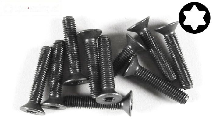 FG6922/30 Torx verzonken kop M5-L30 mm, 10 St.
