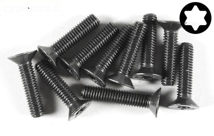 FG6923/25 Torx verzonken kop M6-L25 mm, 10 St.