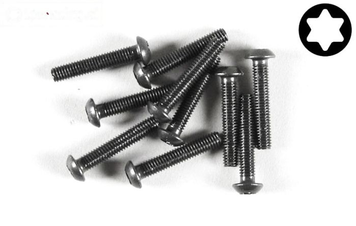 FG6924/14 Torx bolkop M3-L14 mm, 10 St.