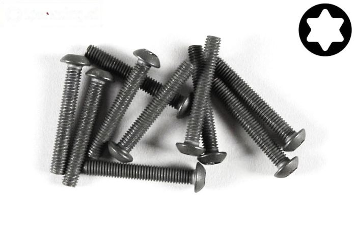 FG6924/20 Torx bolkop M3-L20 mm, 10 St.