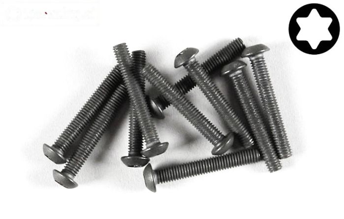 FG6924/25 Torx bolkop M3-L25 mm, 10 St.
