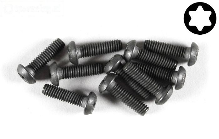 FG6925/14 Torx bolkop M4-L14 mm, 10 St.
