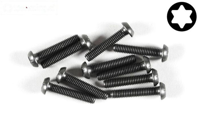 FG6925/20 Torx bolkop M4-L20 mm, 10 St.