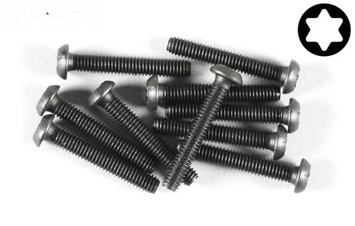 FG6925/25 Torx bolkop M4-L25 mm, 10 St.
