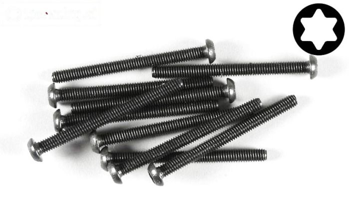 FG6925/45 Torx bolkop M4-L45 mm, 10 St.