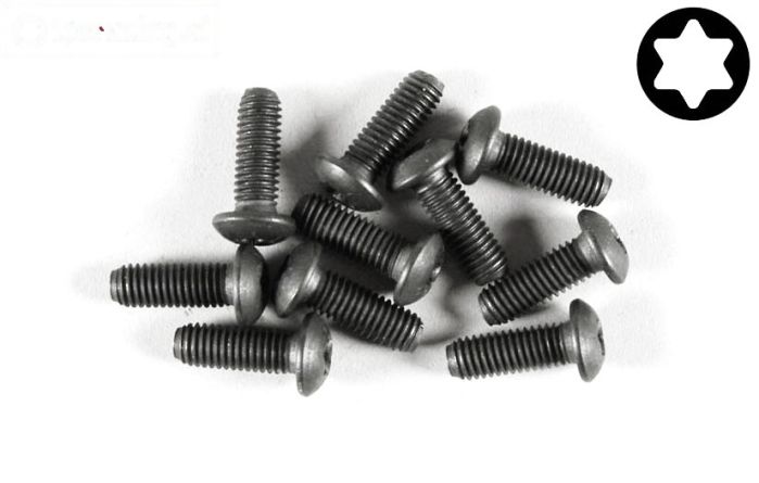 FG6926/10 Torx bolkop M5-L10 mm, 10 St.