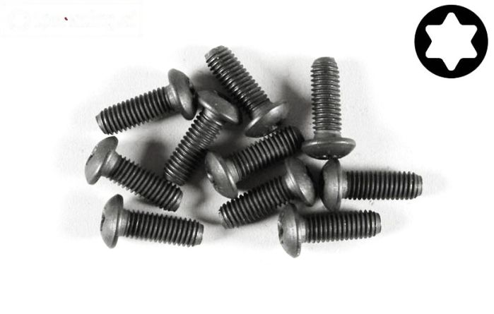FG6926/14 Torx bolkop M5-L14 mm, 10 St.