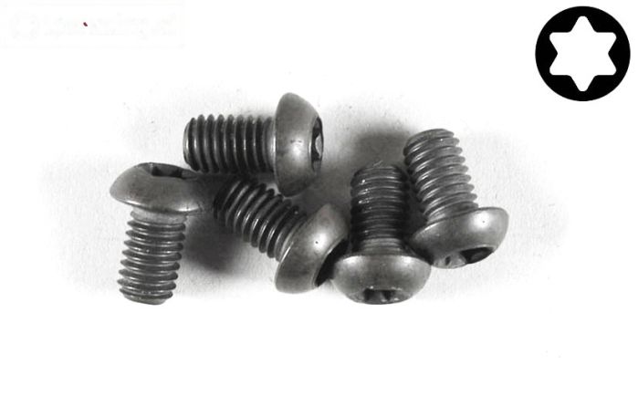 FG6927/10 Torx bolkop M6-L10 mm, 5 St.