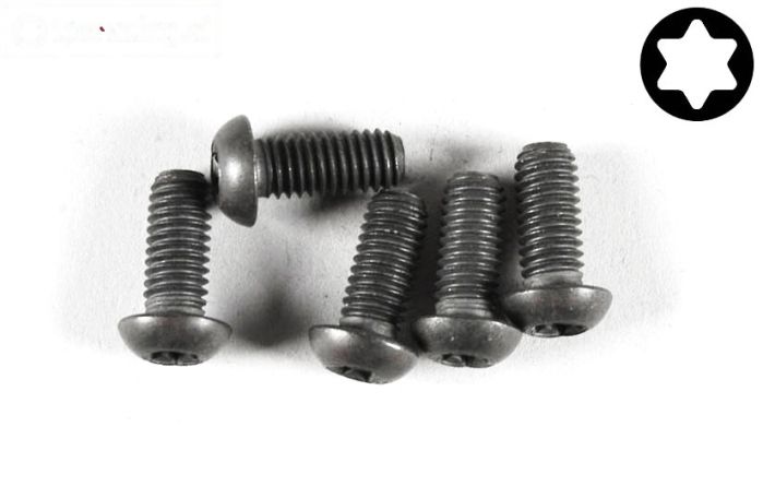 FG6927/14 Torx bolkop M6-L14 mm, 5 St.