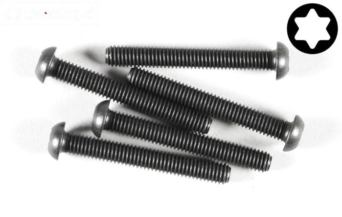 FG6927/45 Torx bolkop M6-L45 mm, 5 St.