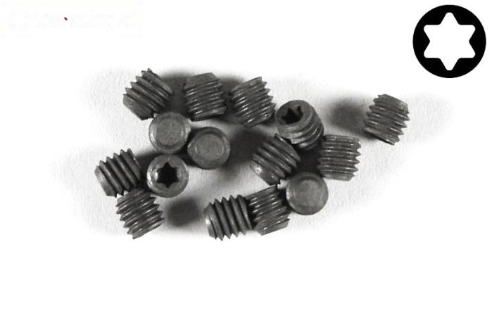 FG6928/03 Torx koploos M3-L3 mm, 15 St.