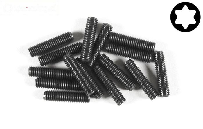 FG6928/20 Torx koploos M3-L20 mm, 15 St.
