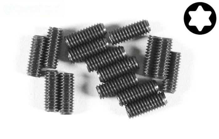 FG6928/10 Torx koploos M3-L10 mm, 15 St.
