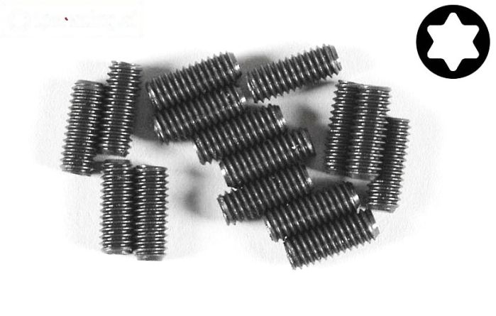 FG6929/10 Torx koploos M4-L10 mm, 15 St.