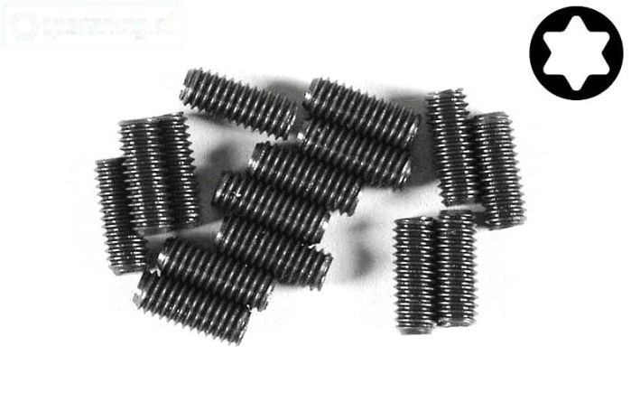 FG6929/14 Torx koploos M4-L14 mm, 15 St.