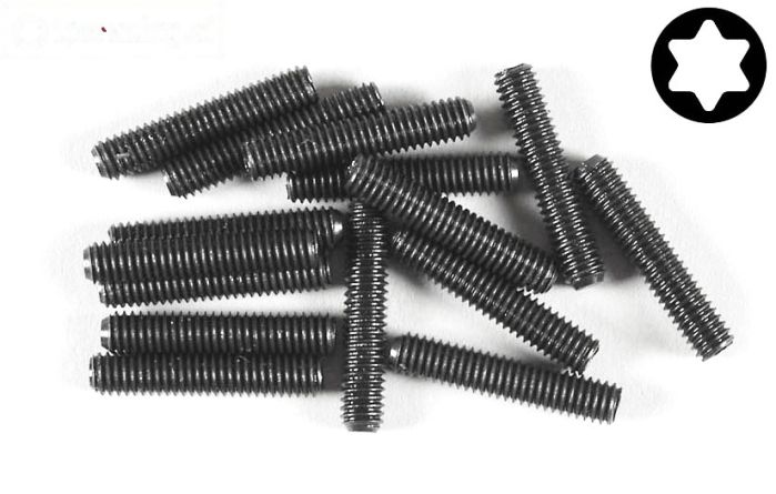 FG6929/20 Torx koploos M4-L20 mm, 15 St.