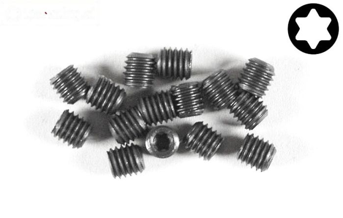 FG6930/05 Torx koploos M5-L5 mm, 15 St.