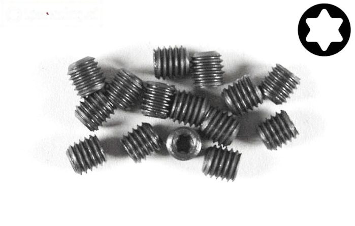 FG6930/06 Torx koploos M5-L6 mm, 15 St.