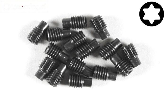 FG6930/08 Torx koploos M5-L8 mm, 15 St.