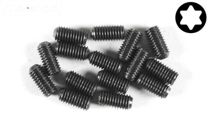 FG6930/10 Torx koploos M5-L10 mm Loctite, 15 St.