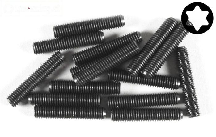 FG6930/25 Torx koploos M5-L25 mm, 15 St.