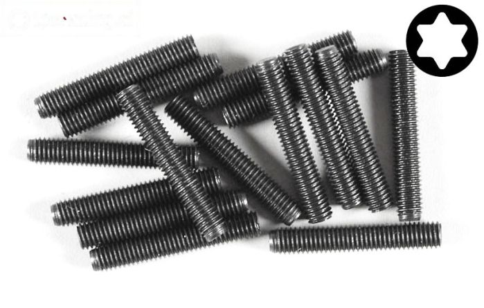 FG6930/30 Torx koploos M5-L30 mm, 15 St.