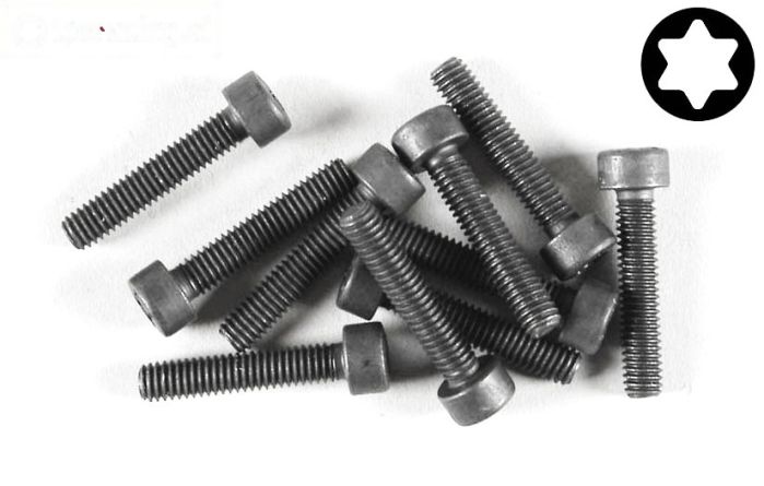 FG6932/20 Torx normale kop M4-L20 mm, 10 St.