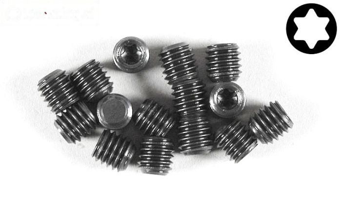 FG6933/06 Torx koploos M6-L6 mm, 15 St.