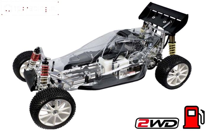 FG671000 LEO 1/6 2WD 2020.2 Expert Wedstrijd Buggy
